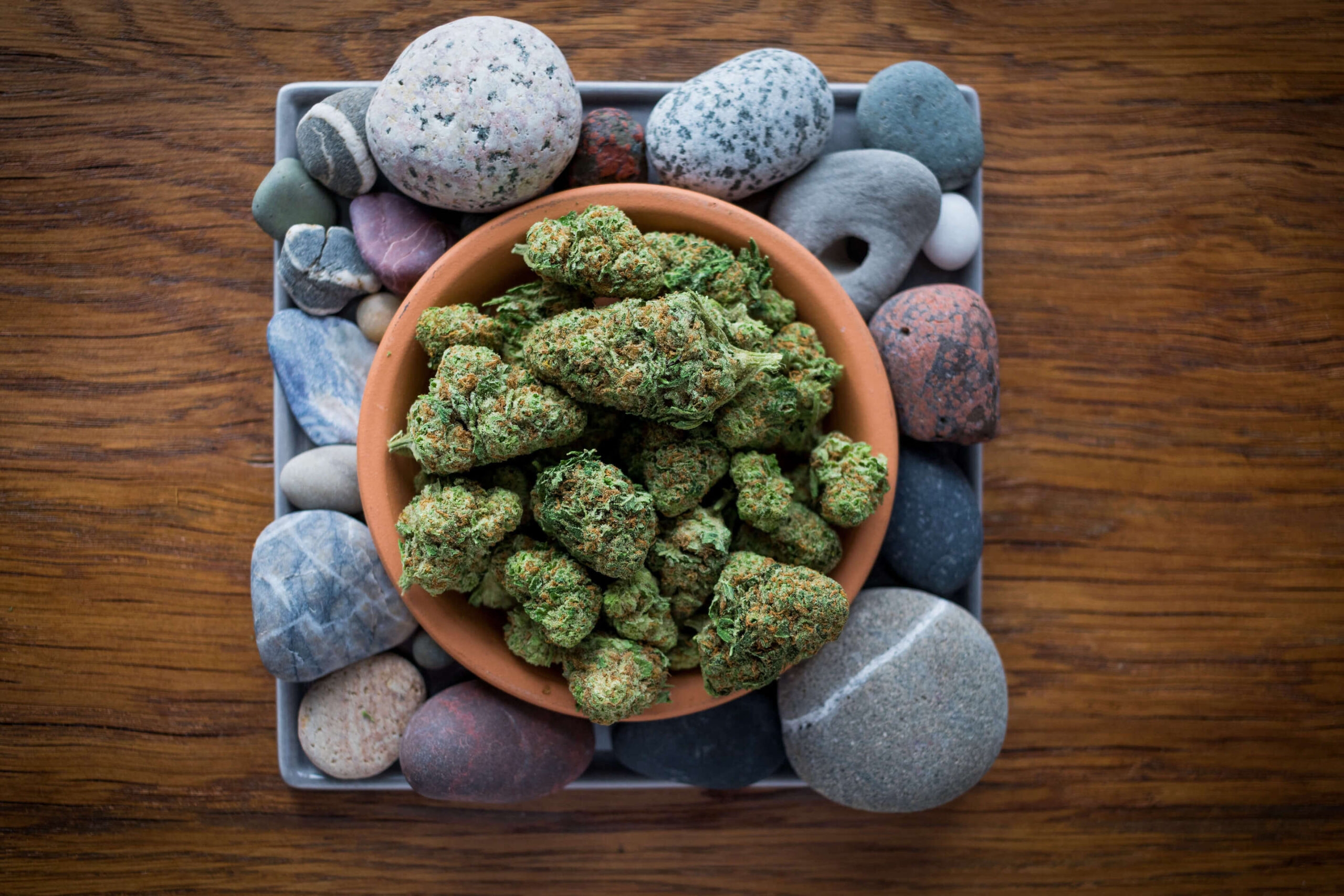 Stone_Dispensary_Hash_Plant-187841 (1)